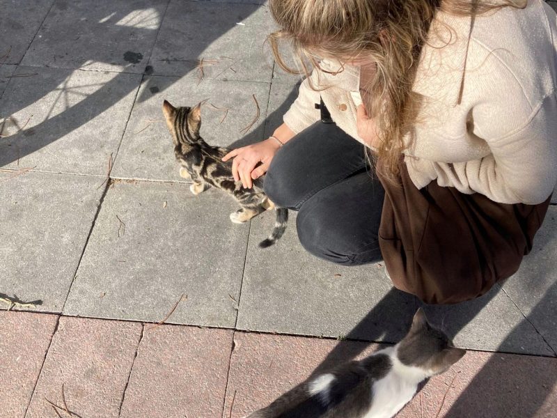 “Every Person You Meet Is Like a Leaf on a Tree, They Help You Grow and Change”