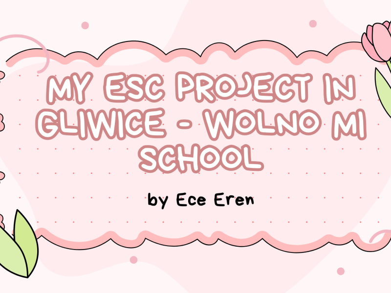 MY ESC PROJECT INGLIWICE – WOLNO MISCHOOL