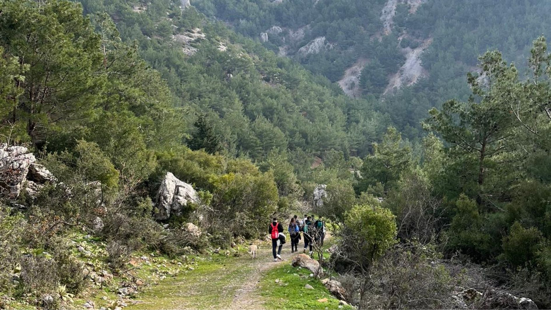 İzmir’de Kış Ayları: Doğa, Kültür ve Ritmi Yakalamak