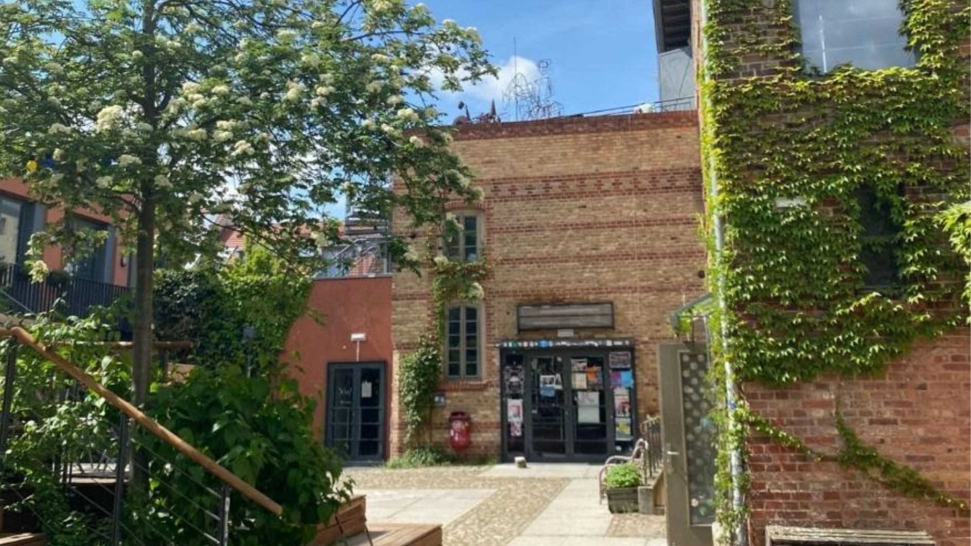 Bir Gönüllülük Deneyiminden Fazlası: Almanya’da Sanat, Disiplin ve Dönüşüm